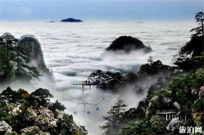 湘洲景区找私人伴游