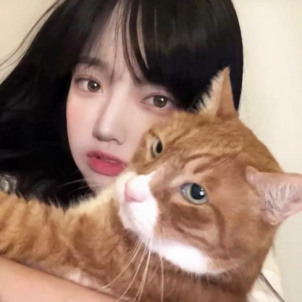 感情真的跟缘分有关吗